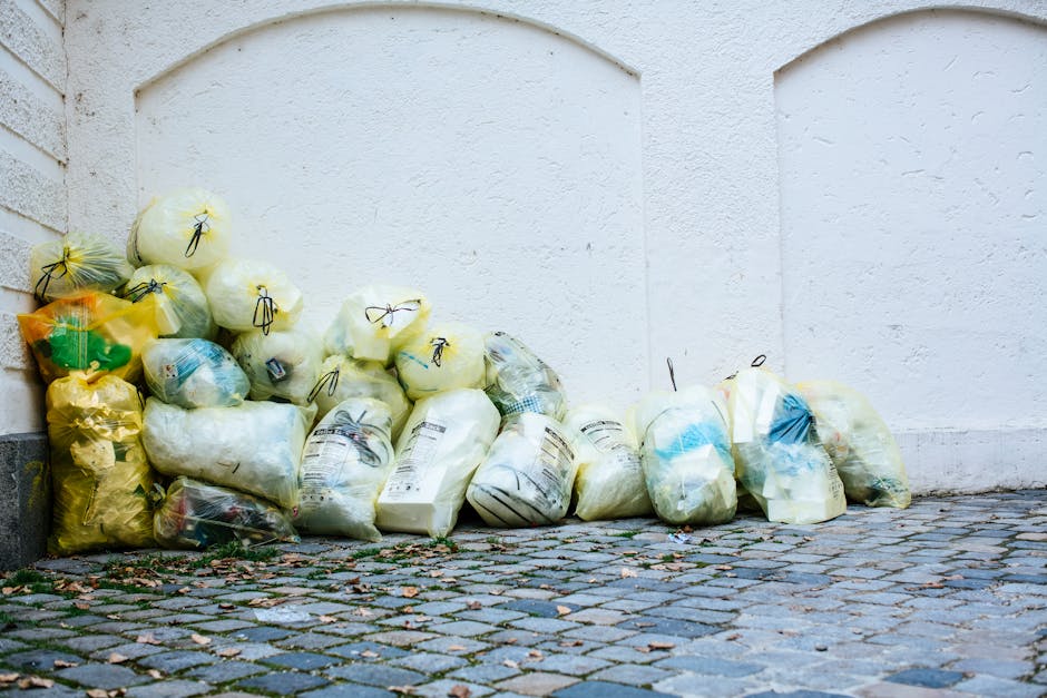 William Morris Gallery Event Waste Management in Walthamstow